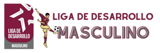 Liga de Desarrollo FVF Masculino AFES
